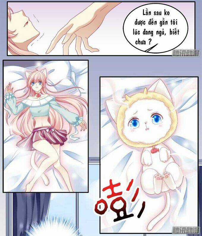 Dụ Hoặc Miêu Yêu Chapter 1 trang 36