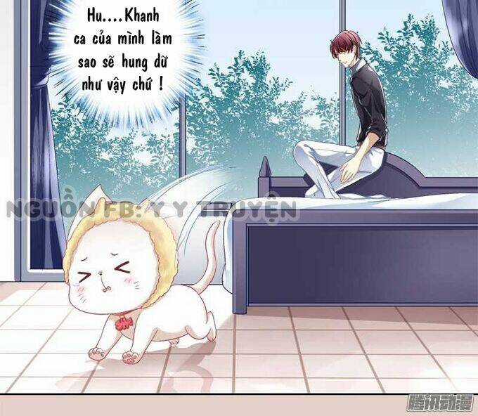 Dụ Hoặc Miêu Yêu Chapter 1 trang 37