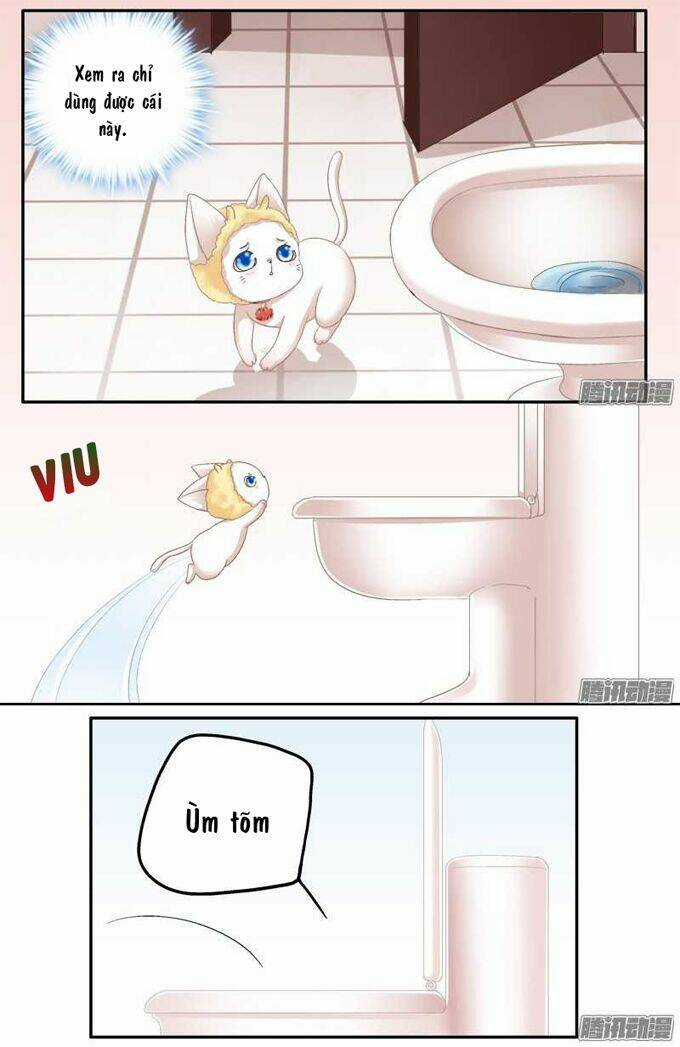 Dụ Hoặc Miêu Yêu Chapter 1 trang 39