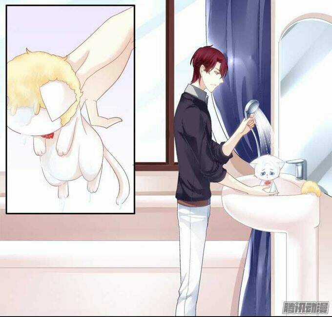 Dụ Hoặc Miêu Yêu Chapter 1 trang 43