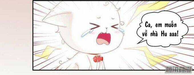 Dụ Hoặc Miêu Yêu Chapter 1 trang 46