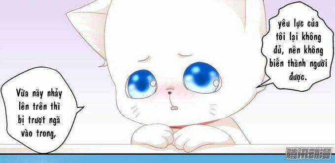 Dụ Hoặc Miêu Yêu Chapter 1 trang 48