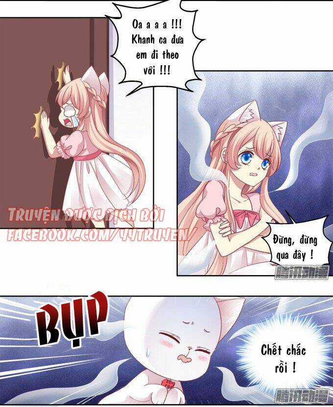 Dụ Hoặc Miêu Yêu Chapter 10 trang 18