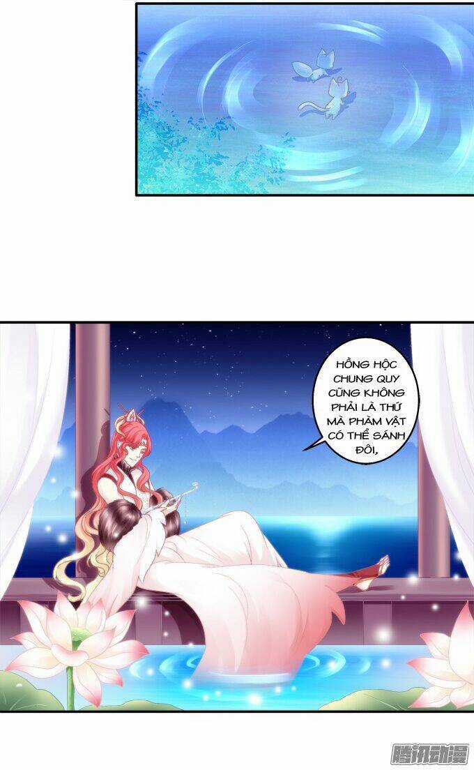 Dụ Hoặc Miêu Yêu Chapter 105 trang 1
