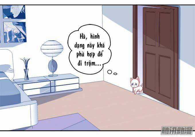 Dụ Hoặc Miêu Yêu Chapter 12 trang 2