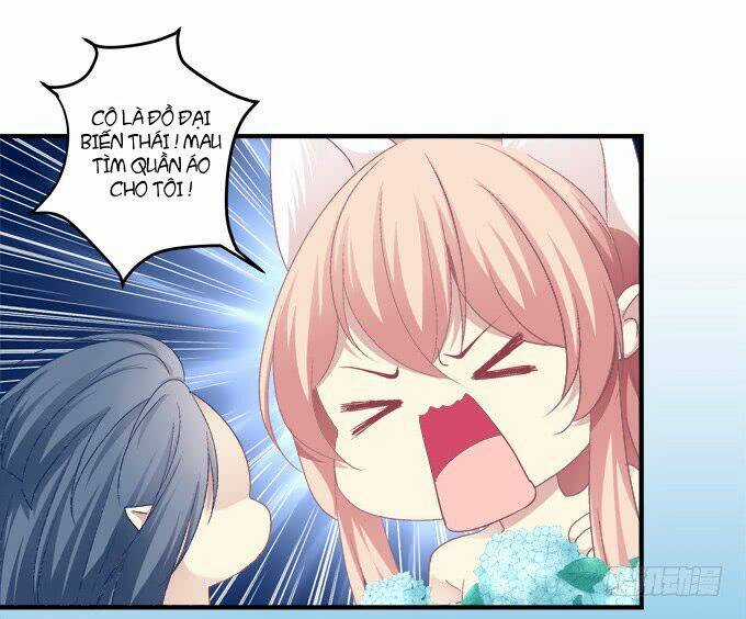 Dụ Hoặc Miêu Yêu Chapter 142 trang 23
