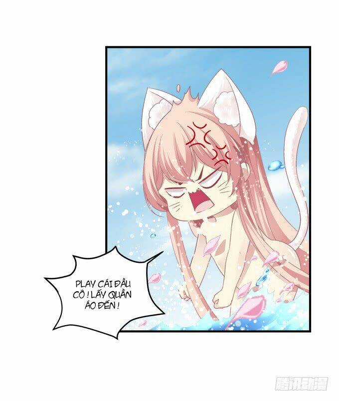Dụ Hoặc Miêu Yêu Chapter 142 trang 29