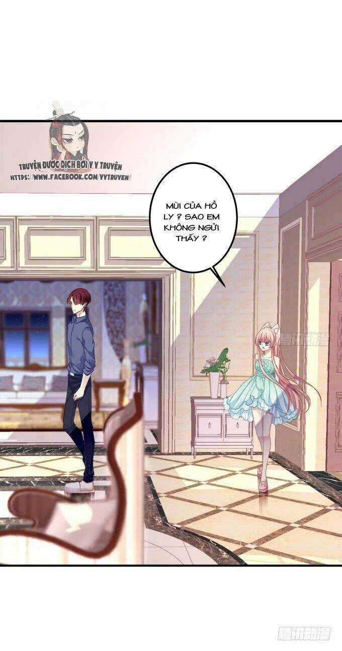Dụ Hoặc Miêu Yêu Chapter 149 trang 1