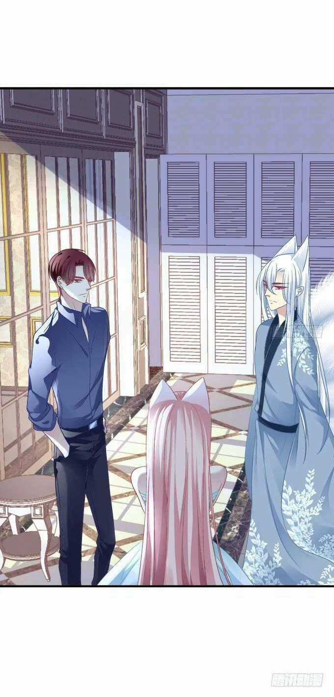Dụ Hoặc Miêu Yêu Chapter 150 trang 1