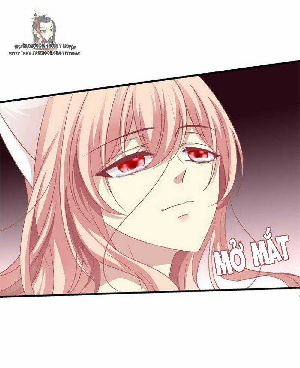 Dụ Hoặc Miêu Yêu Chapter 180 trang 11