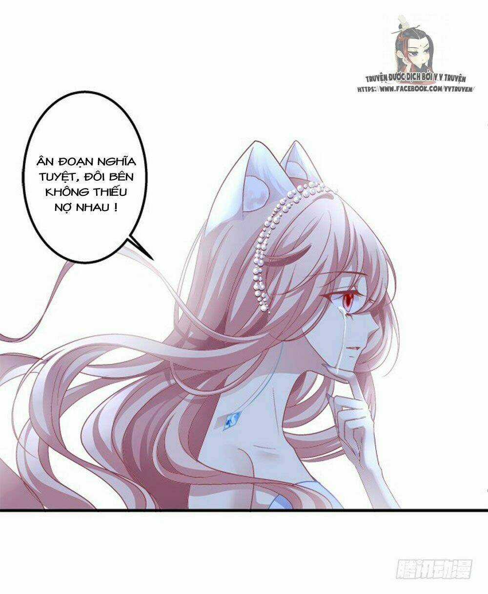 Dụ Hoặc Miêu Yêu Chapter 180 trang 13