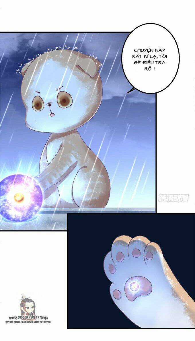 Dụ Hoặc Miêu Yêu Chapter 182 trang 9