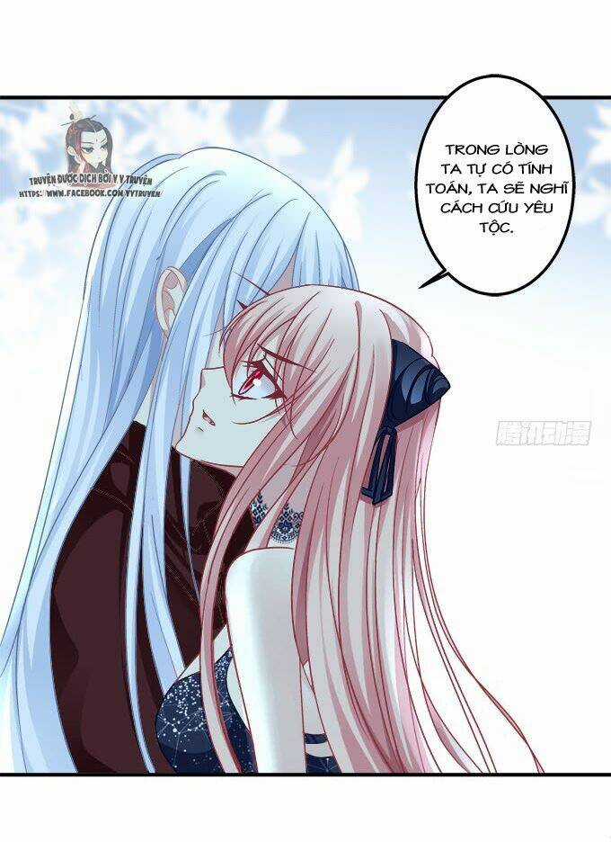 Dụ Hoặc Miêu Yêu Chapter 184 trang 14