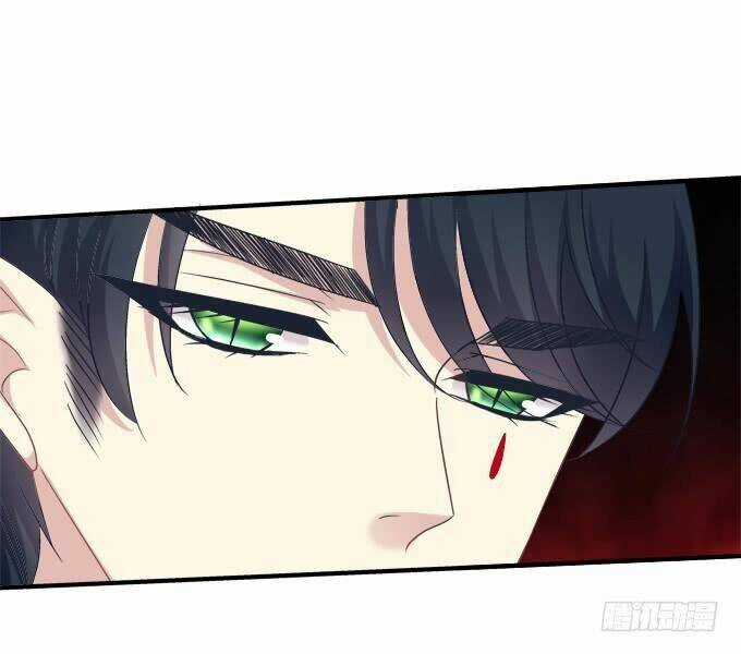 Dụ Hoặc Miêu Yêu Chapter 184 trang 24