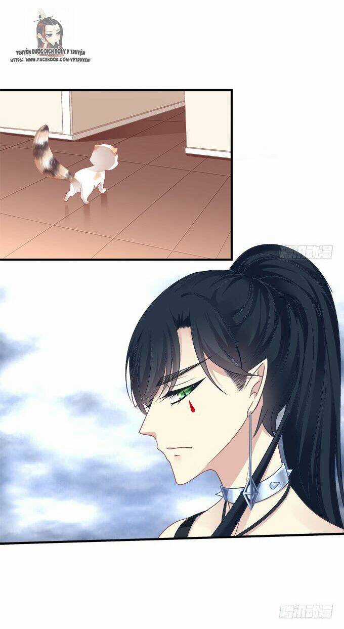 Dụ Hoặc Miêu Yêu Chapter 186 trang 23