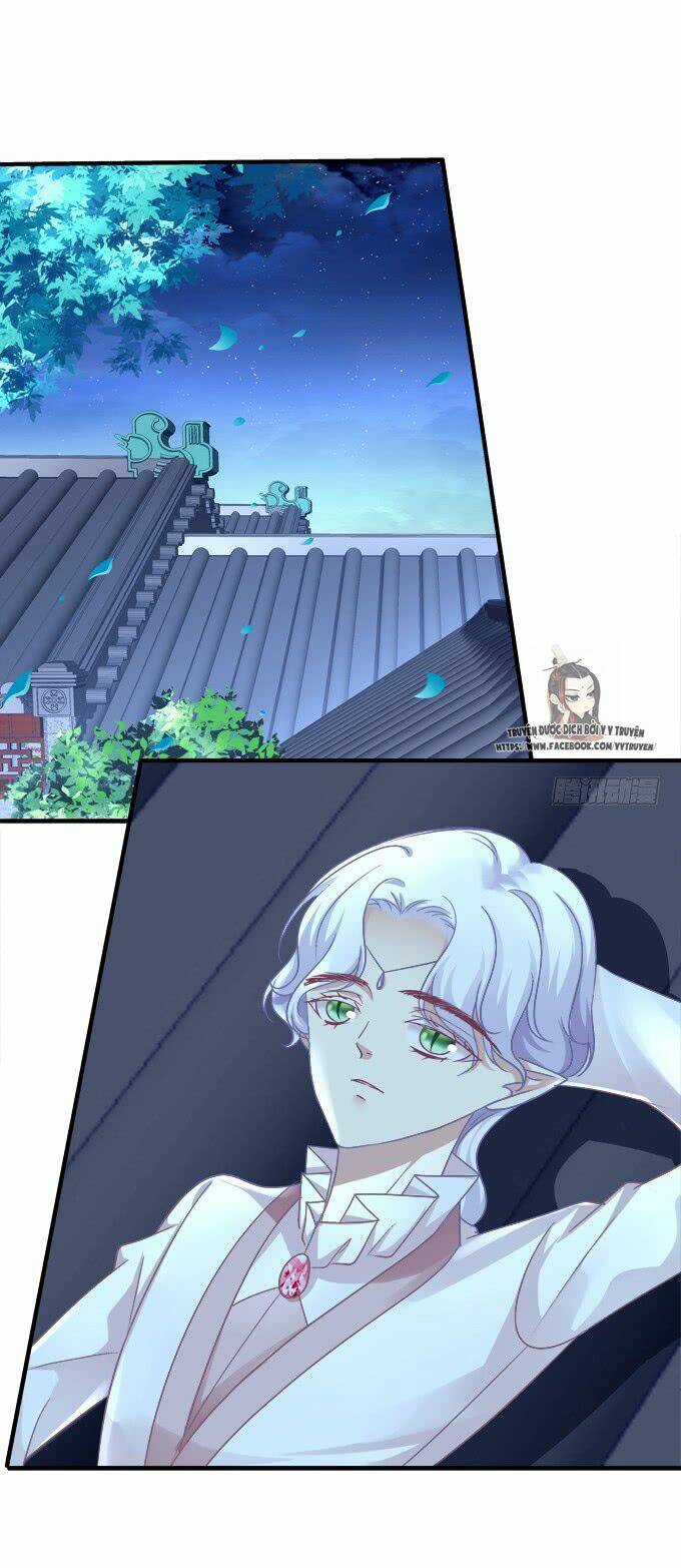 Dụ Hoặc Miêu Yêu Chapter 188 trang 15