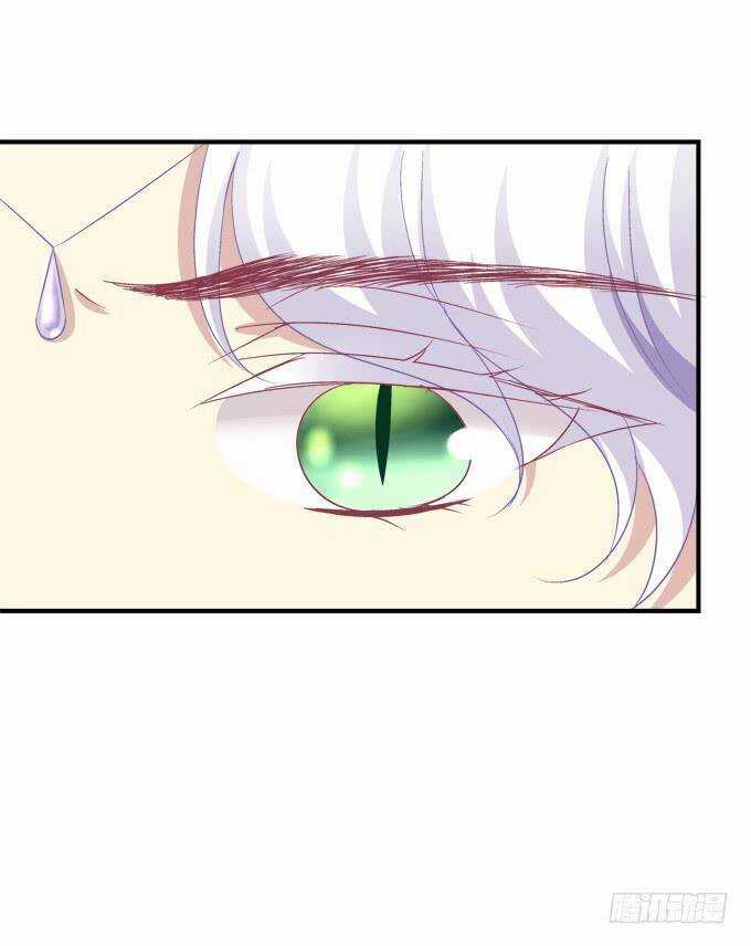 Dụ Hoặc Miêu Yêu Chapter 188 trang 17