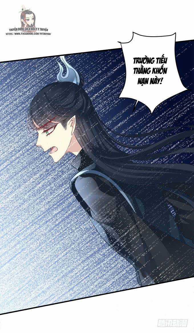 Dụ Hoặc Miêu Yêu Chapter 190 trang 35