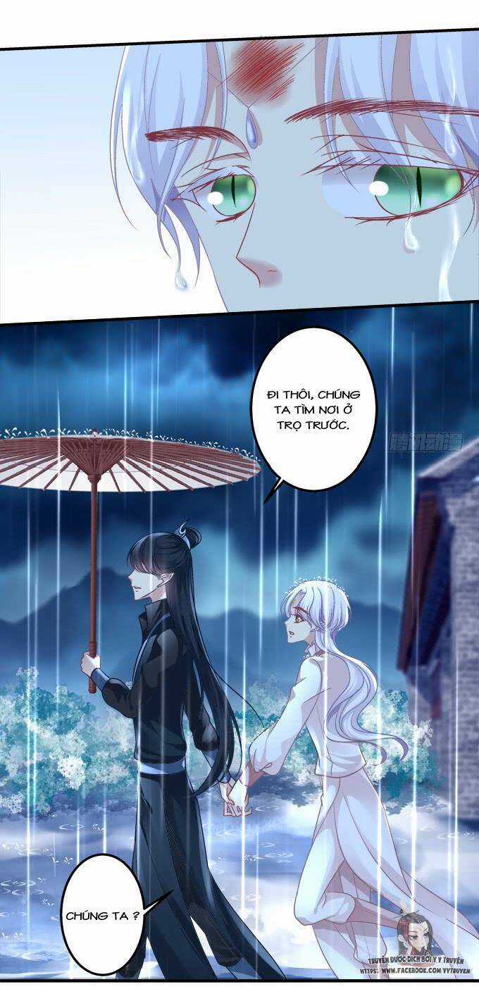 Dụ Hoặc Miêu Yêu Chapter 192 trang 11