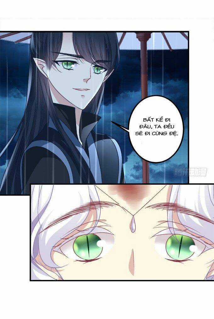 Dụ Hoặc Miêu Yêu Chapter 192 trang 12