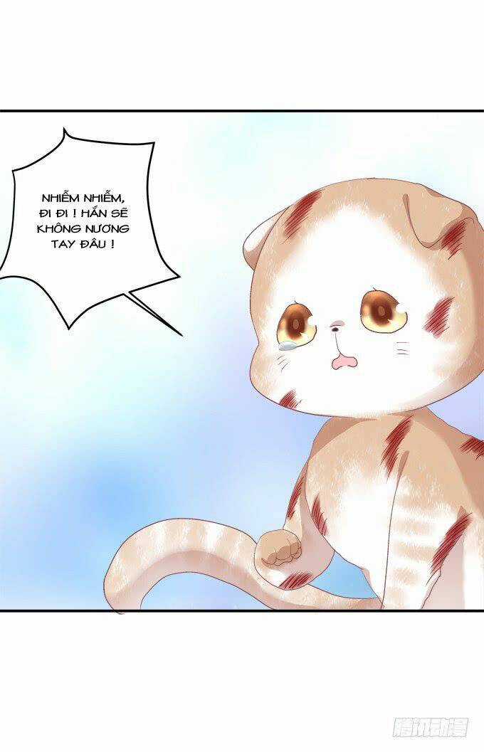 Dụ Hoặc Miêu Yêu Chapter 193 trang 13