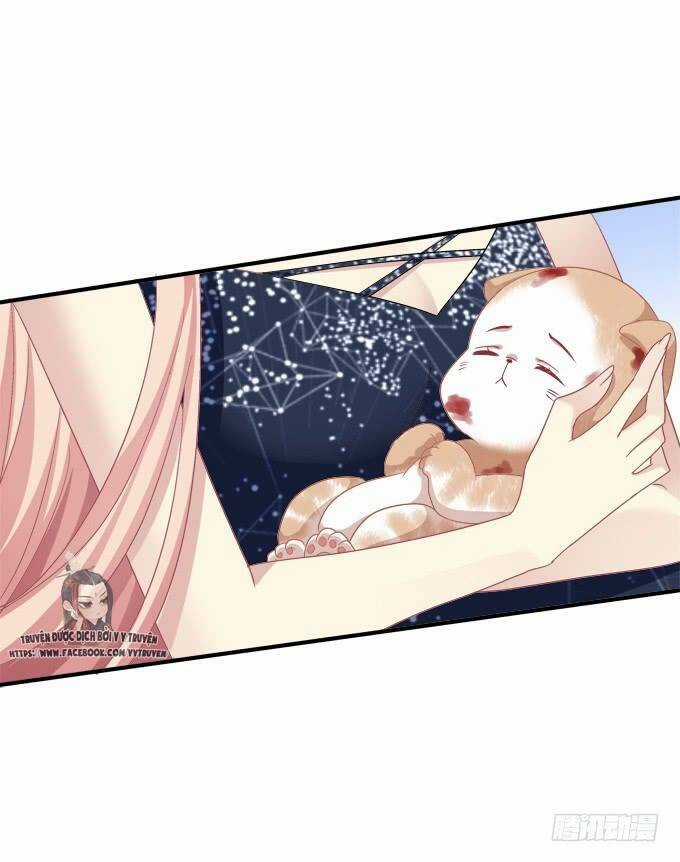 Dụ Hoặc Miêu Yêu Chapter 193 trang 22