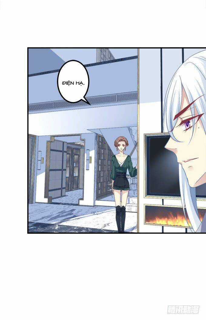 Dụ Hoặc Miêu Yêu Chapter 194 trang 5