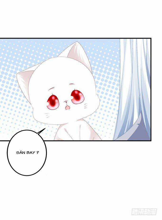 Dụ Hoặc Miêu Yêu Chapter 195 trang 10