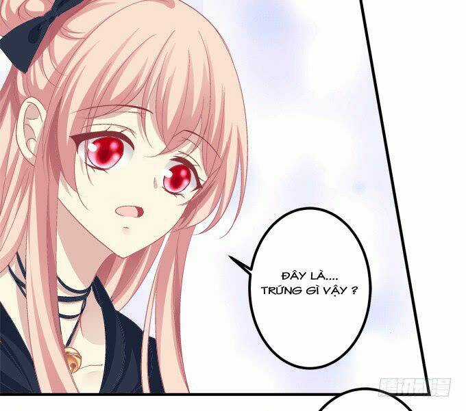 Dụ Hoặc Miêu Yêu Chapter 195 trang 21