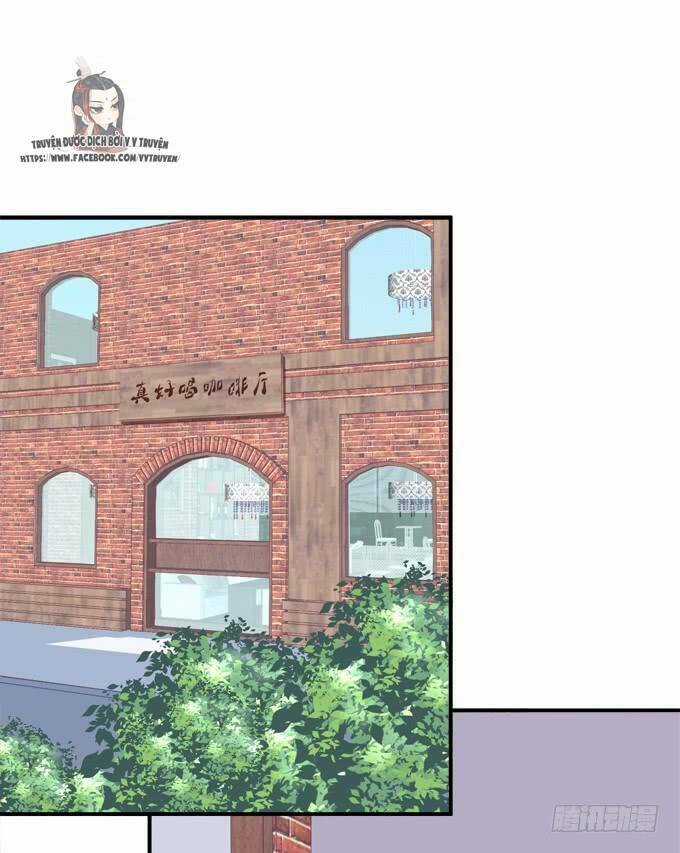 Dụ Hoặc Miêu Yêu Chapter 195 trang 26