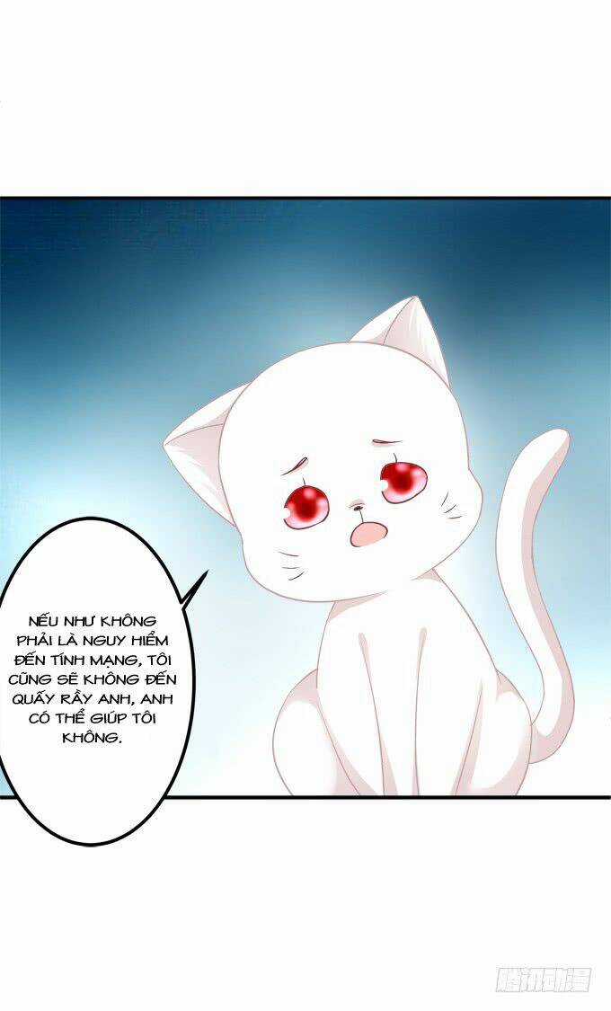 Dụ Hoặc Miêu Yêu Chapter 195 trang 28