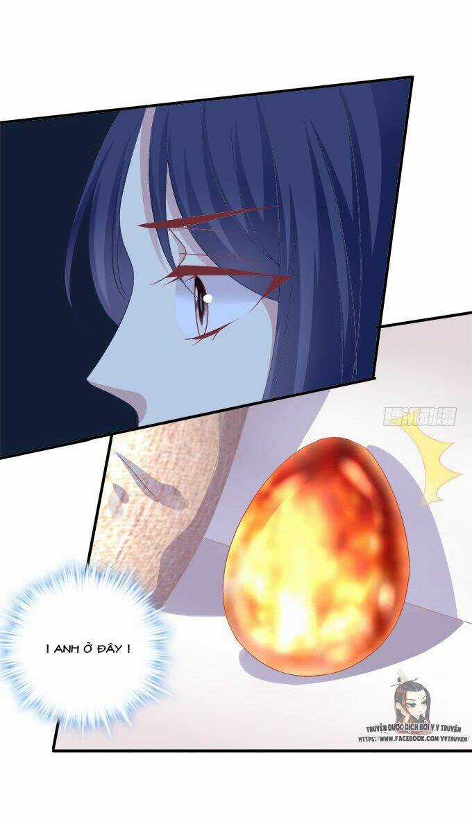 Dụ Hoặc Miêu Yêu Chapter 195 trang 37