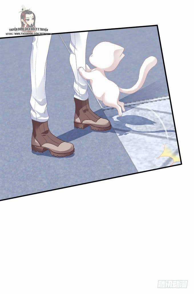 Dụ Hoặc Miêu Yêu Chapter 195 trang 7