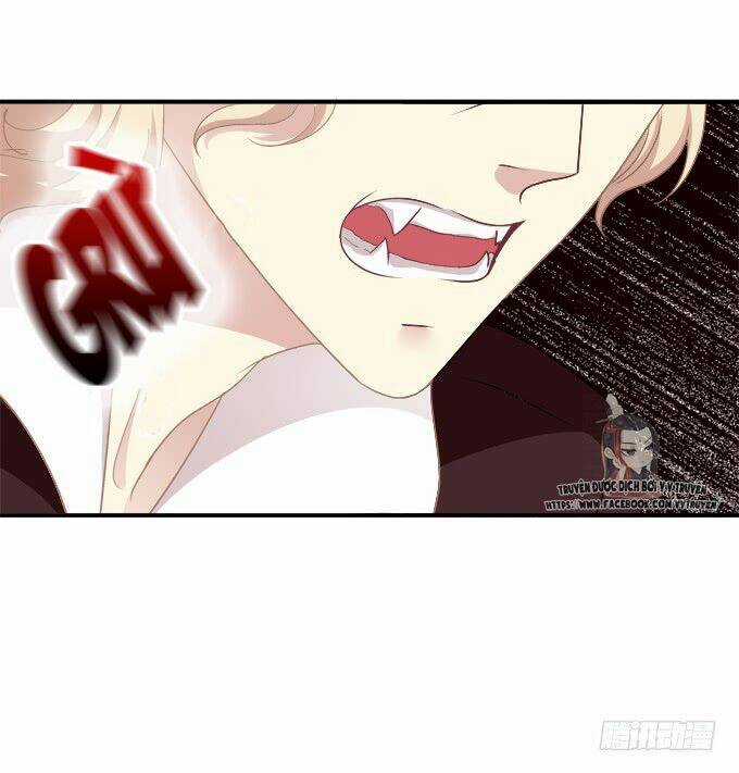 Dụ Hoặc Miêu Yêu Chapter 199 trang 15