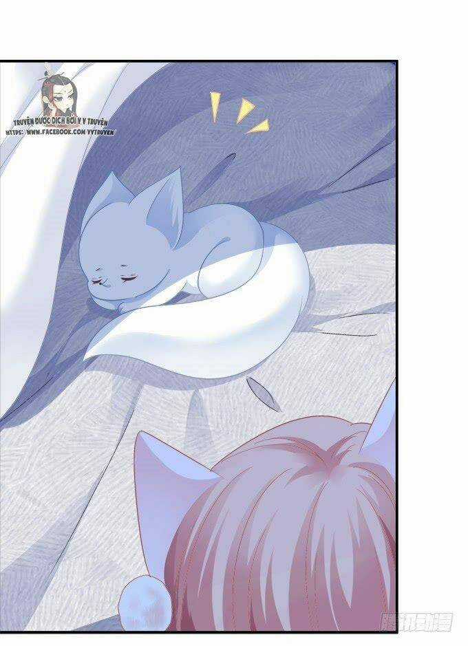 Dụ Hoặc Miêu Yêu Chapter 199 trang 36