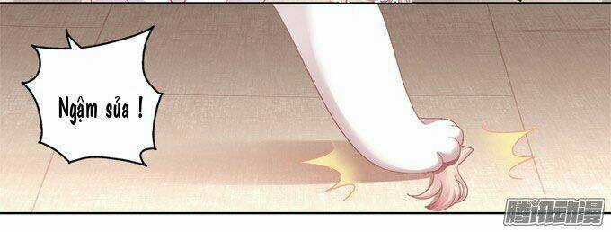 Dụ Hoặc Miêu Yêu Chapter 2 trang 11