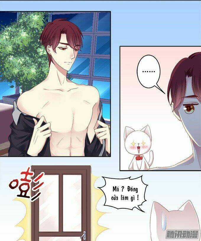 Dụ Hoặc Miêu Yêu Chapter 2 trang 13