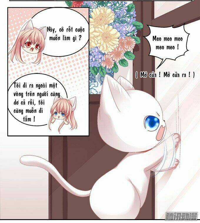 Dụ Hoặc Miêu Yêu Chapter 2 trang 15