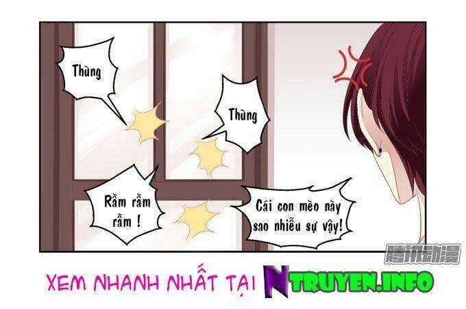 Dụ Hoặc Miêu Yêu Chapter 2 trang 17