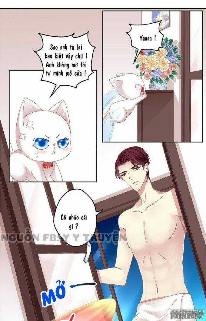 Dụ Hoặc Miêu Yêu Chapter 2 trang 18