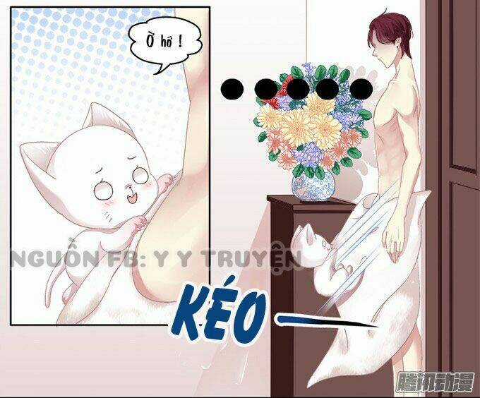 Dụ Hoặc Miêu Yêu Chapter 2 trang 20