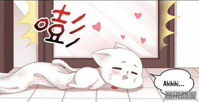 Dụ Hoặc Miêu Yêu Chapter 2 trang 22