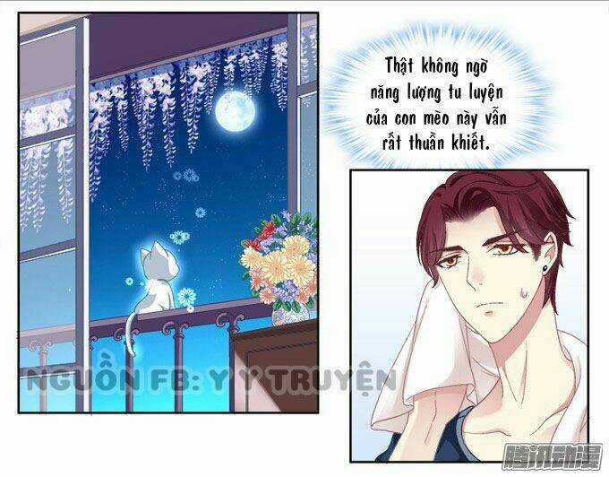 Dụ Hoặc Miêu Yêu Chapter 2 trang 26