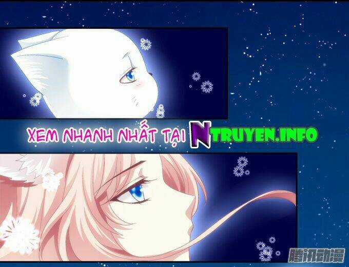 Dụ Hoặc Miêu Yêu Chapter 2 trang 27
