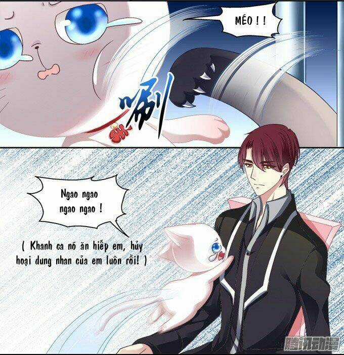 Dụ Hoặc Miêu Yêu Chapter 2 trang 5