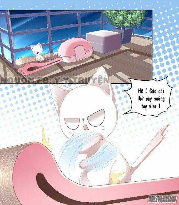 Dụ Hoặc Miêu Yêu Chapter 2 trang 9