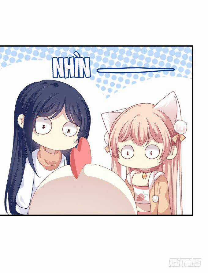 Dụ Hoặc Miêu Yêu Chapter 201 trang 28