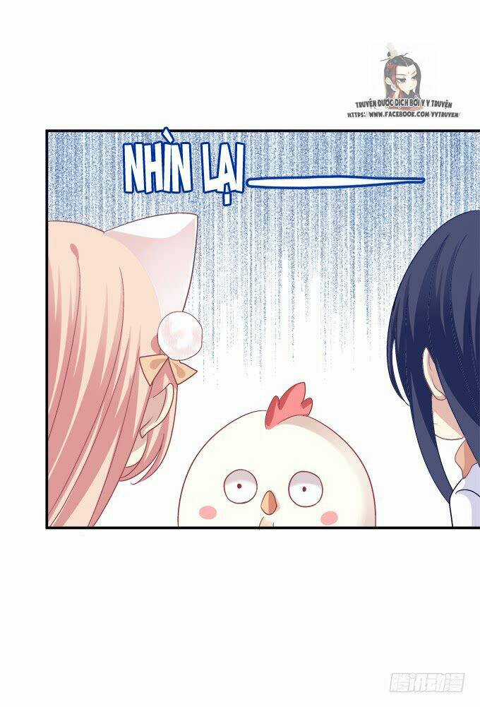 Dụ Hoặc Miêu Yêu Chapter 201 trang 29