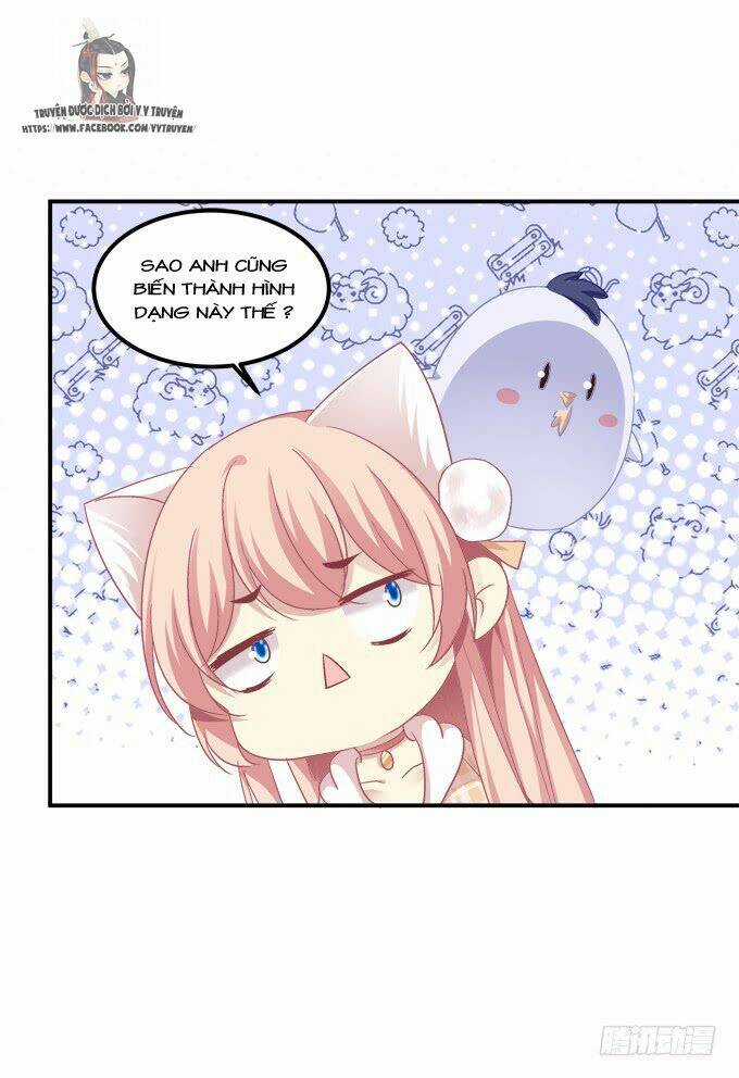 Dụ Hoặc Miêu Yêu Chapter 202 trang 21