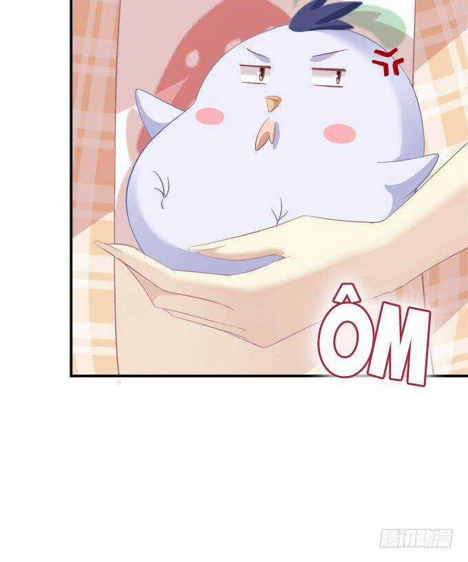 Dụ Hoặc Miêu Yêu Chapter 202 trang 29